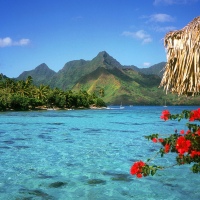 Amazing, Summer, View, Bora Bora